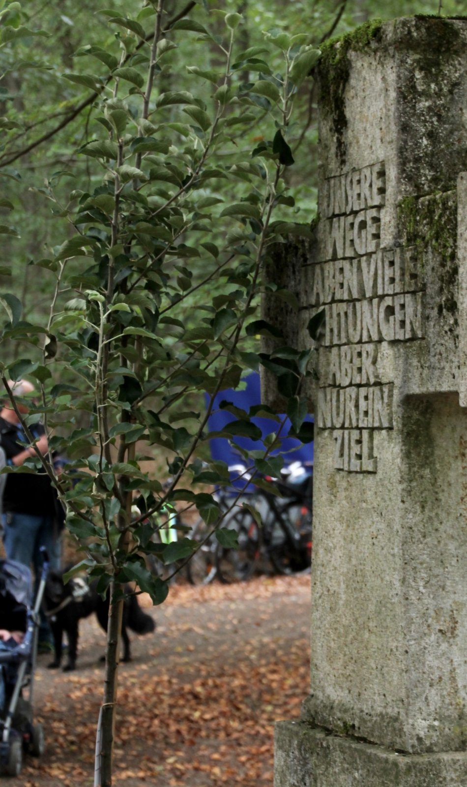 Tag der Schöpfung 2018: junger Apfelbaum (c) Susanne Coenen