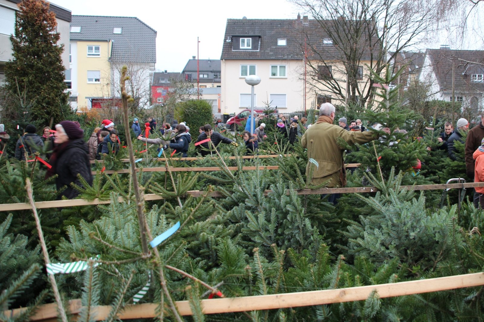 Weihanchtsbaumverkauf am Marienheim (c) DPSG St. Anno