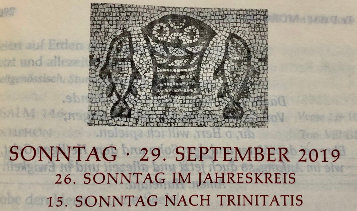Vorwort 26. Sonntag 2019 (c) Gabi Pöge