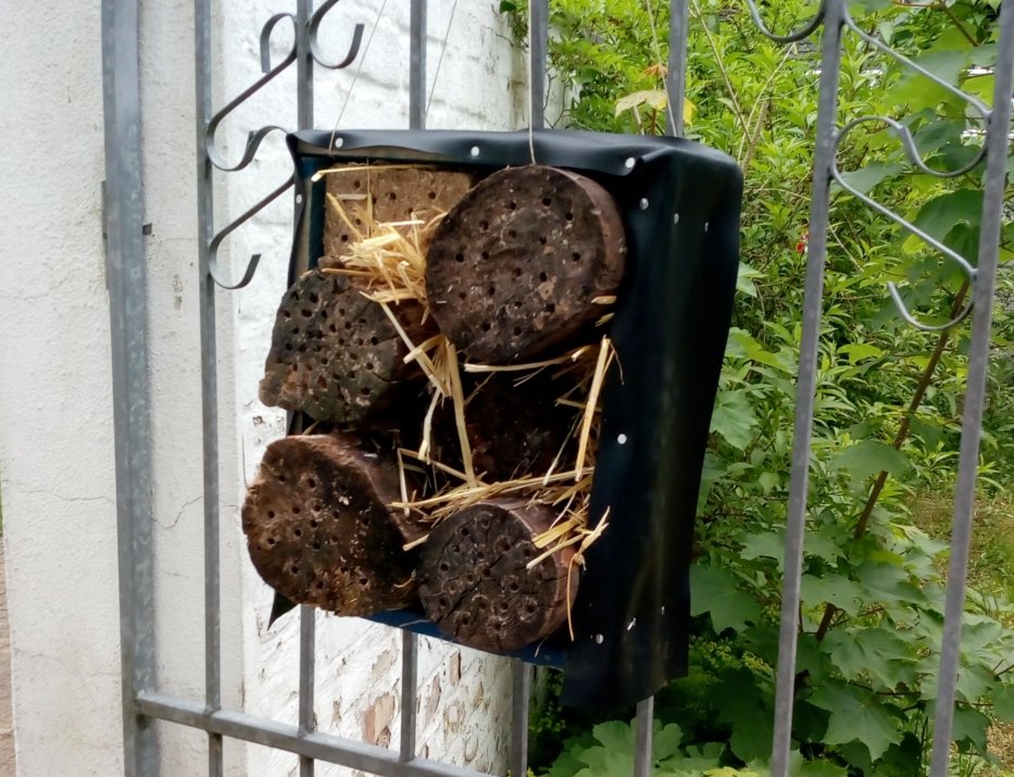 72 Stunden-Aktion-Insektenhotel (c) Martina Sedlaczek