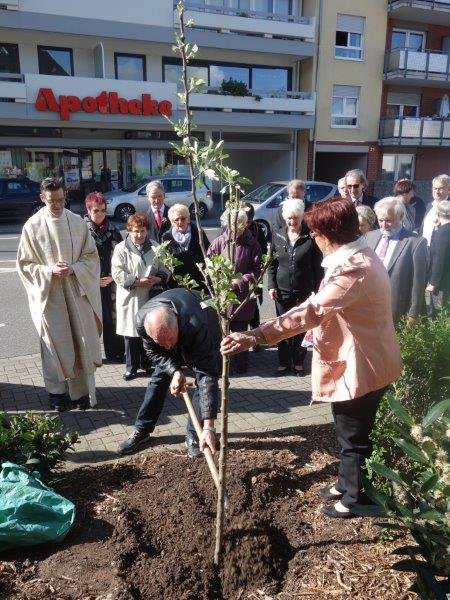 Apfelbaum-Pflanzung an St. Mariä Empfängnis (c) Uta Köpp