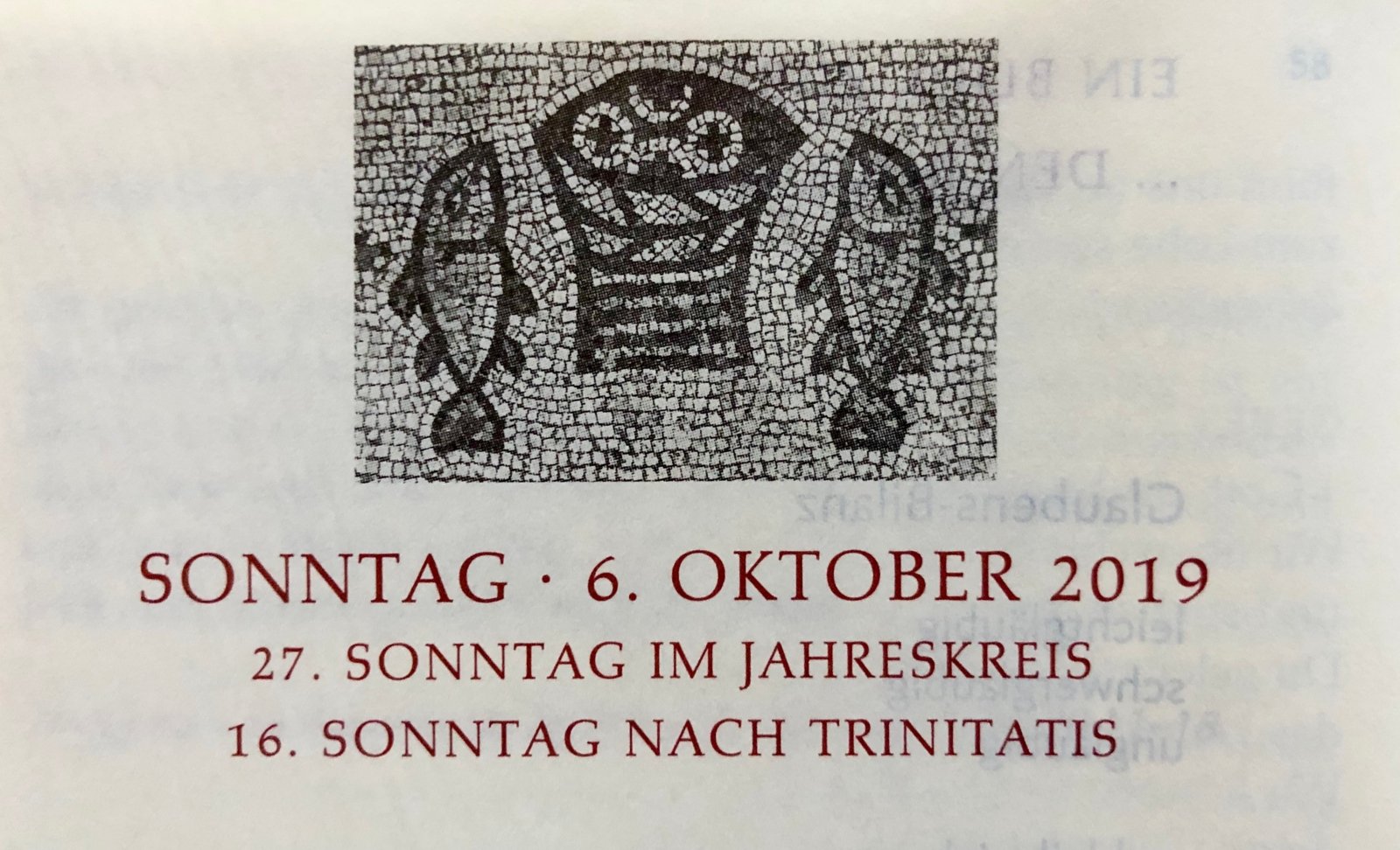 Vorwort zum 27.Sonntag 2019 (c) Gabi Pöge