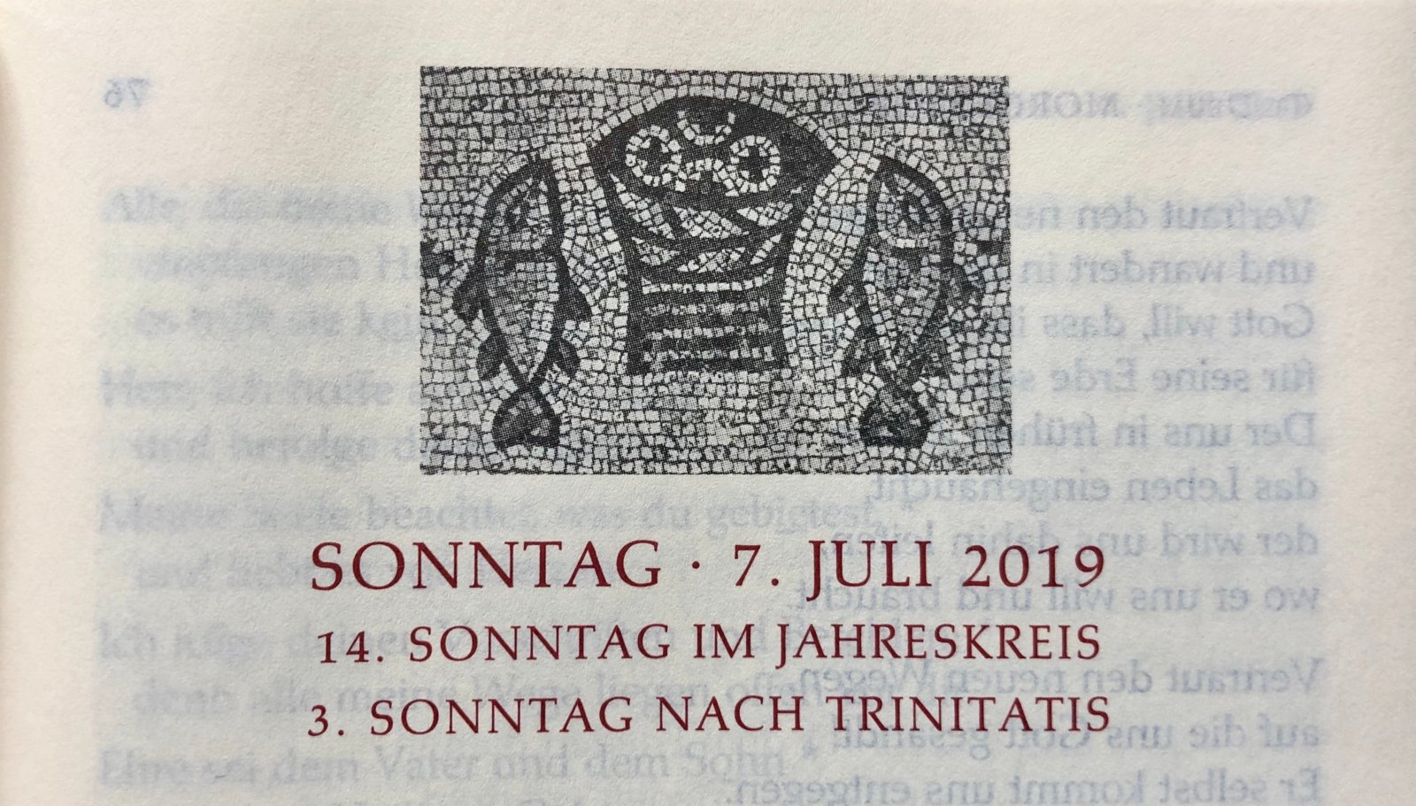7. Juli 2019 (c) Gabi Pöge