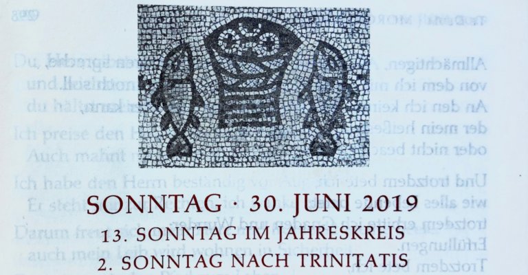 Vorwort zum 13. Sonntag 2019 (c) Gabi Pöge