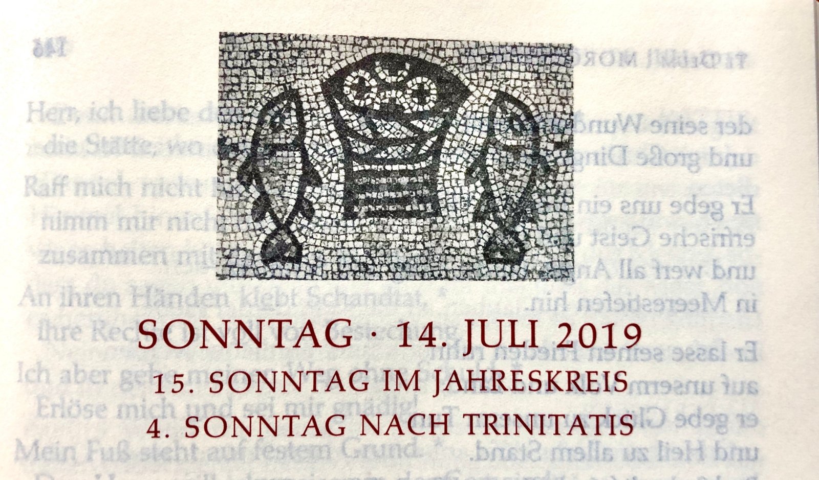 14. Juli 2019 (c) Gabi Pöge
