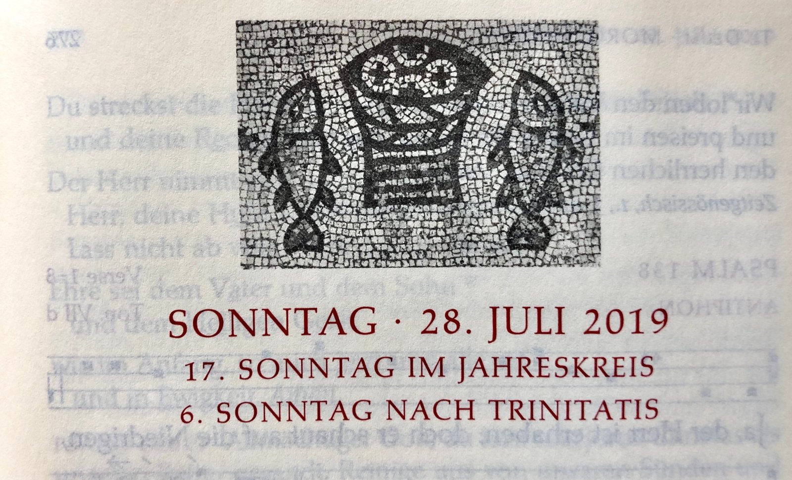 28. Juli 2019 (c) Gabi Pöge