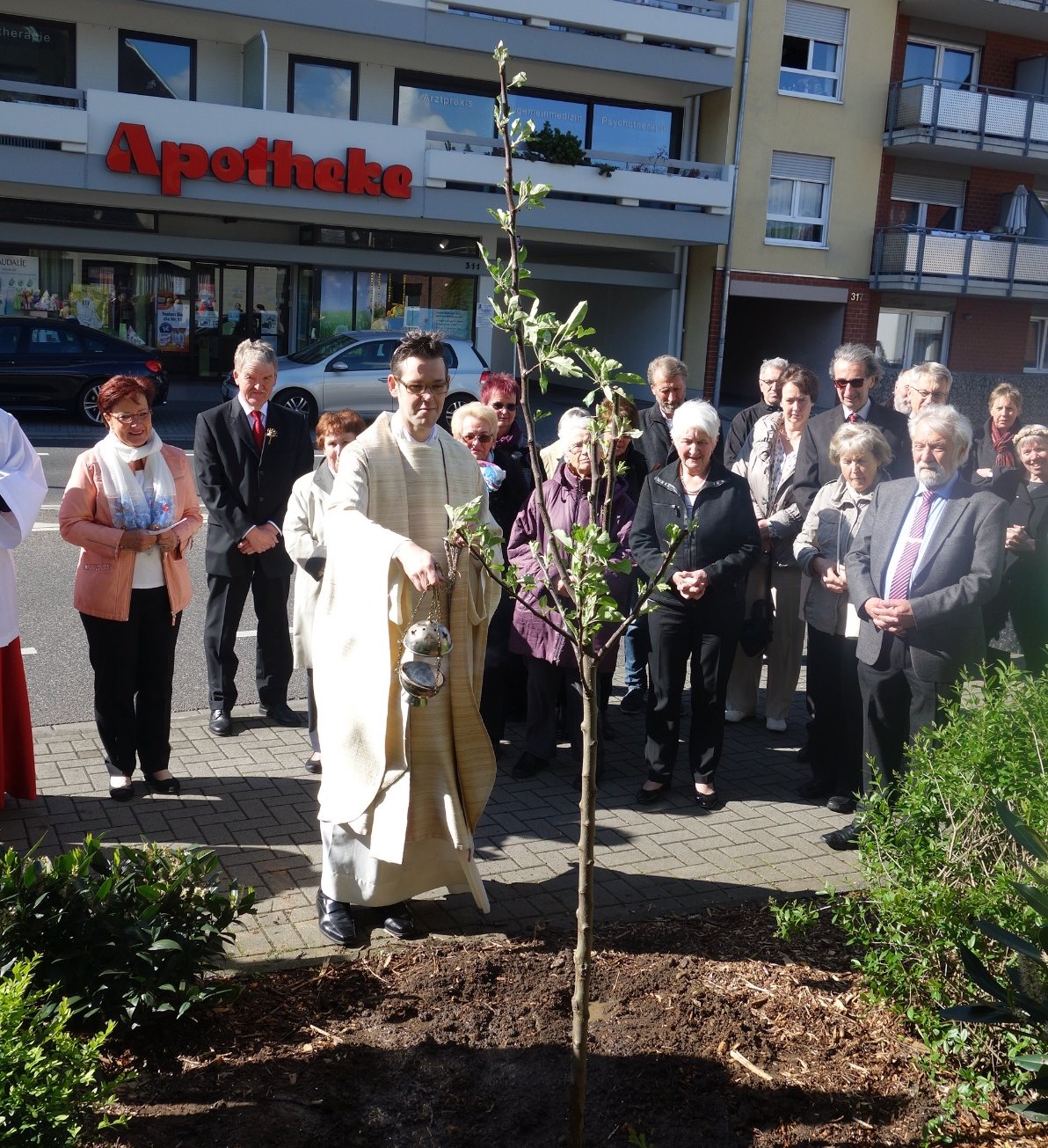 Baumpflanzen Stallberg 2019 (c) Uta Köpp