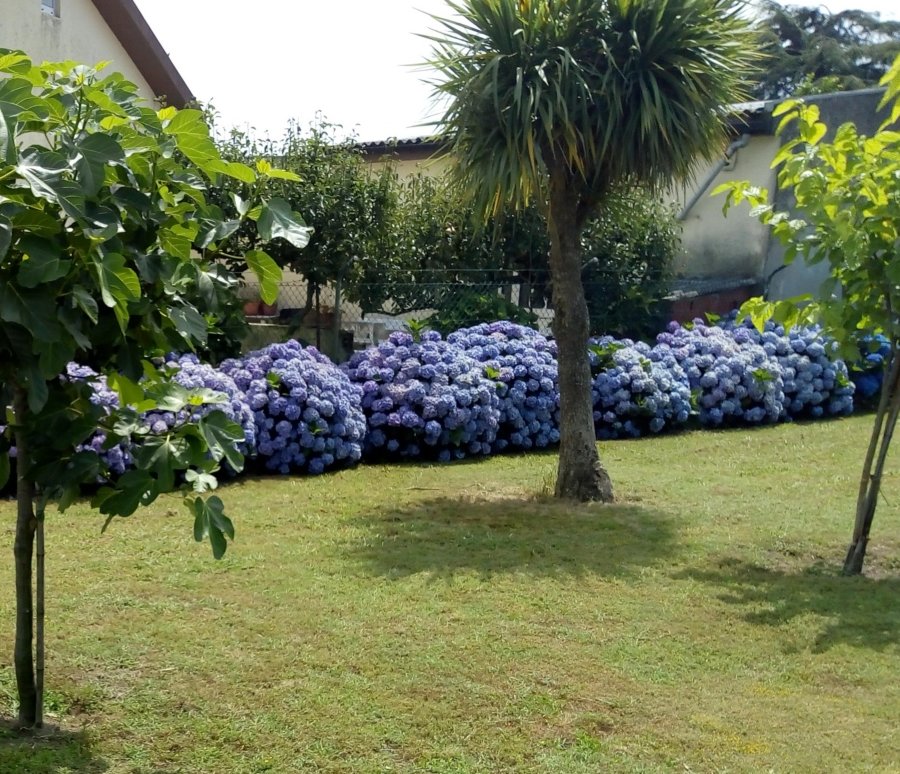 Tag 2 - BLumen in frischer Erde (c) Die Jakobspilgerin