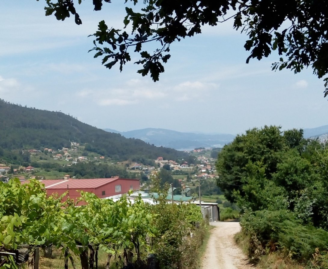 Tag 7 - Fernblick auf den Atlantik (c) Die Jakobspilgerin