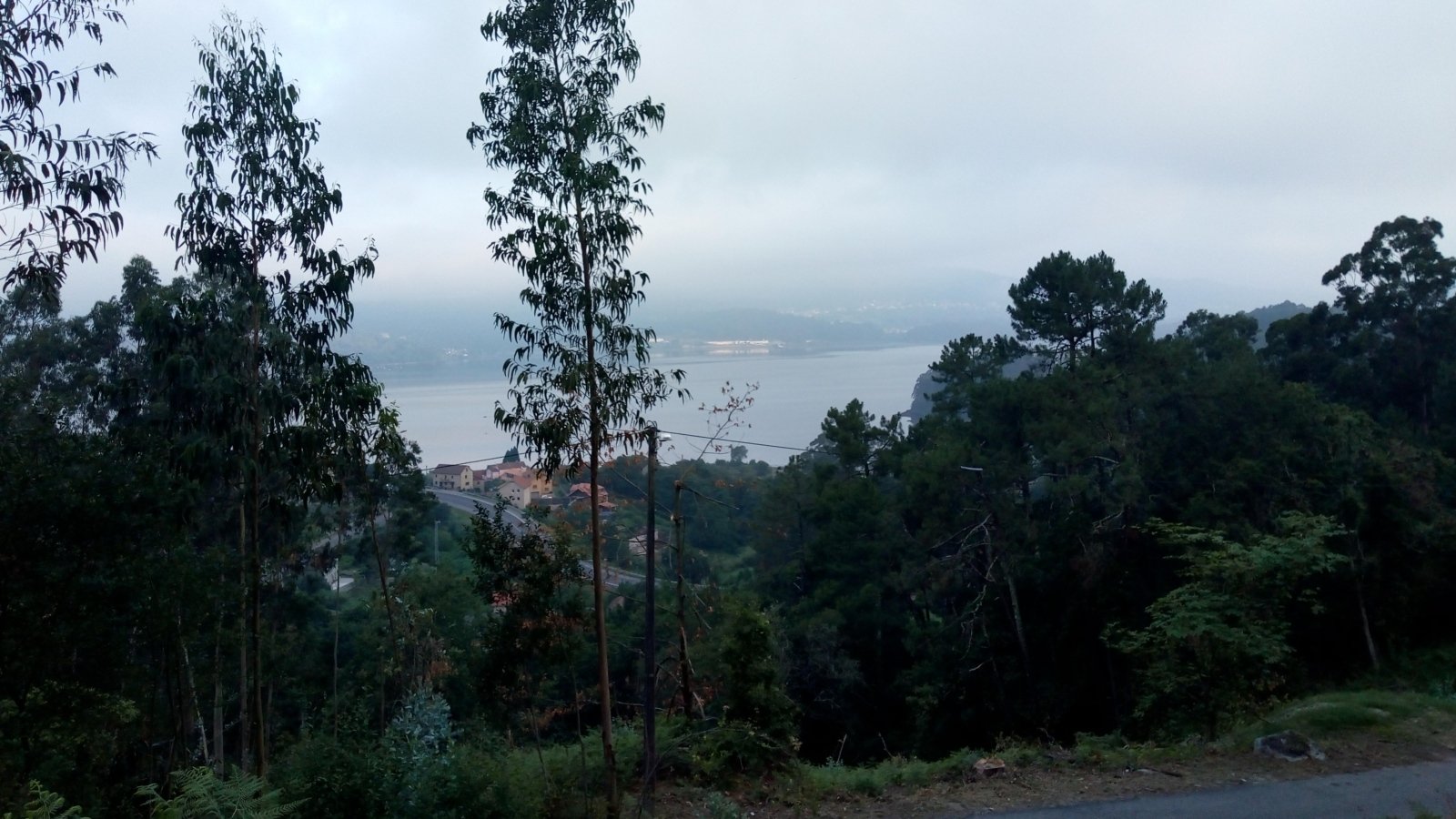 Tag 8 - Blick auf die Bucht Ria de Vigo (c) Die Jakobspilgerin