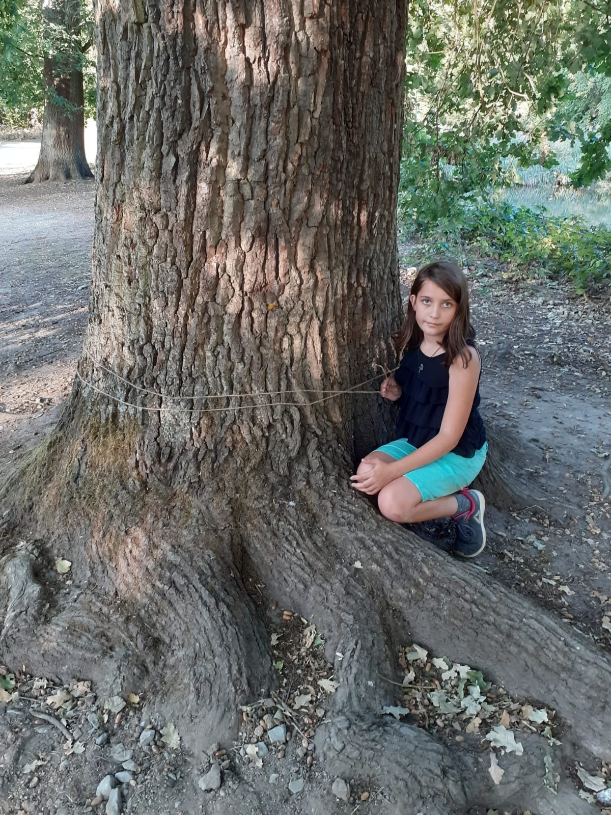 Welchen Umfang hat der Baumstamm? (c) Dorothee Ott