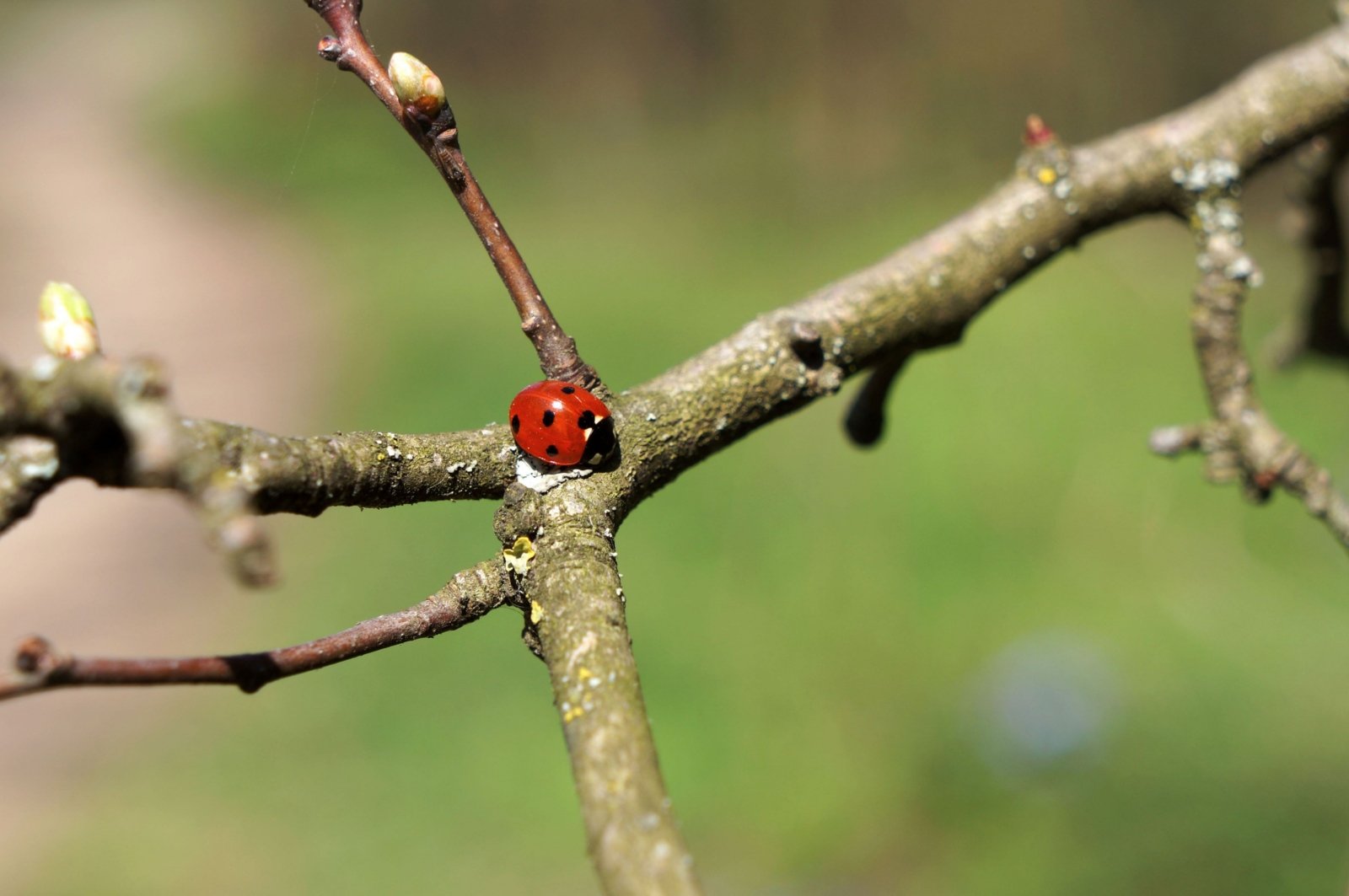 Schönes am Wegesrand