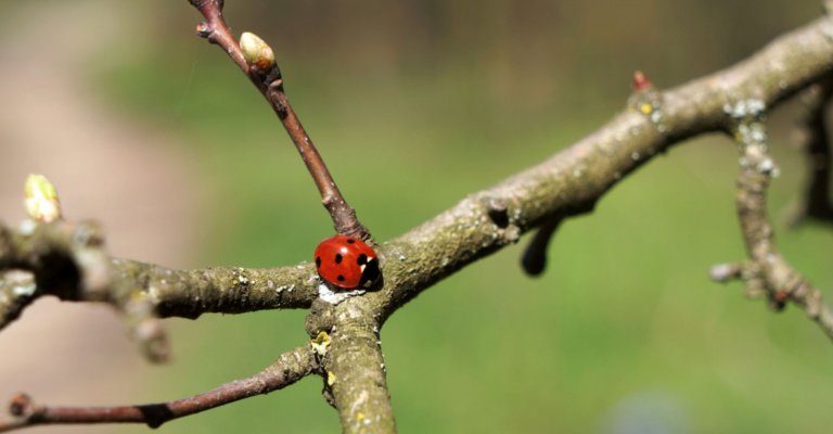 Schönes am Wegesrand