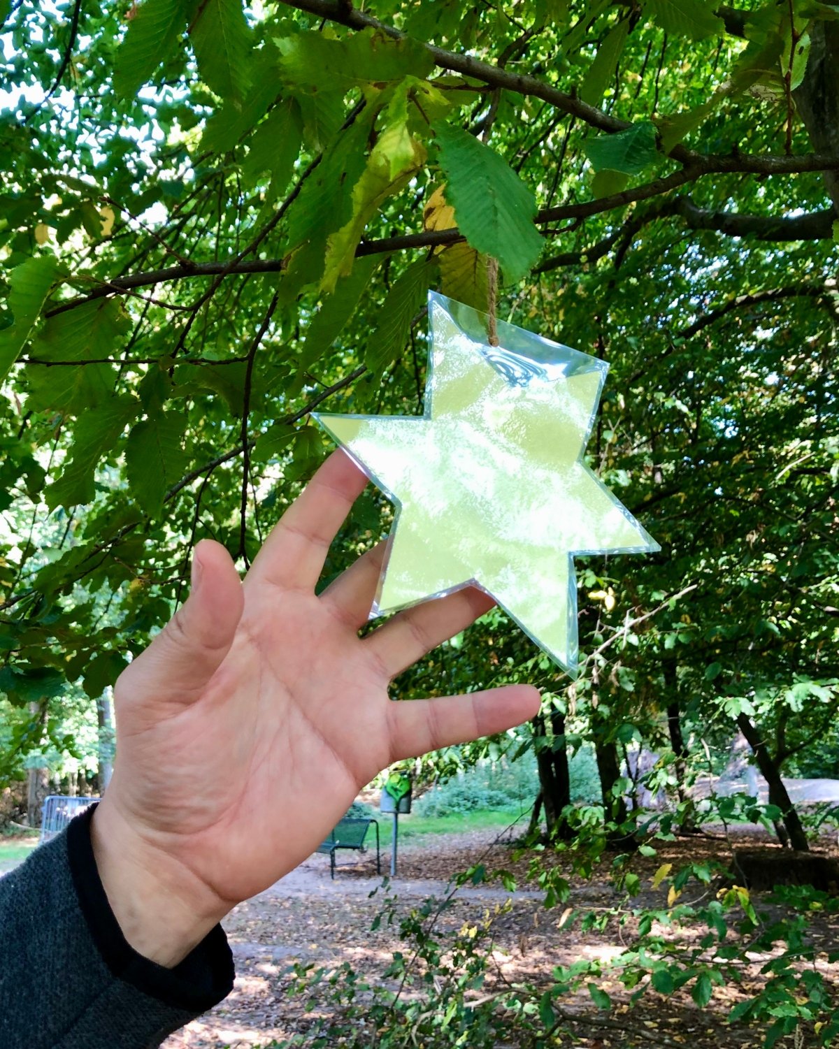 Nach den Sternen greifen (c) Gabi Pöge