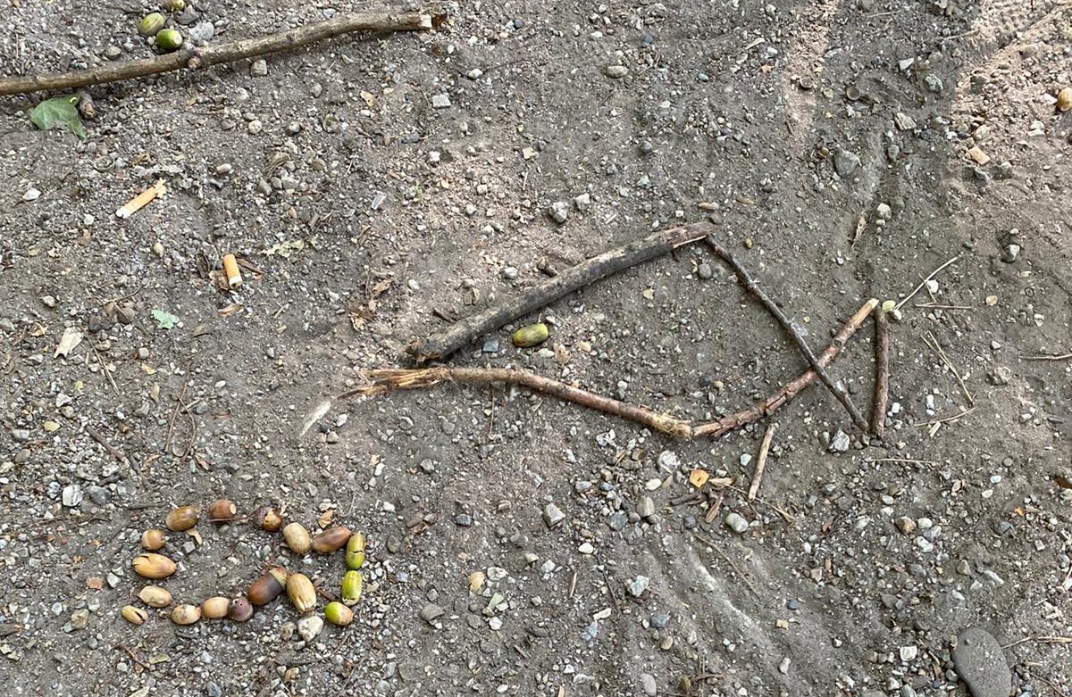 Aus gefundenen Naturmaterialien Fische und Vögel legen (c) Familie Kulas