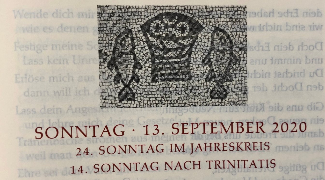Vorwort zum 24. Sonntag im Jahreskreis (c) Gabi Pöge