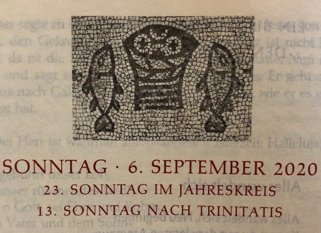 Vorwort 23. Sonntag im Jahreskreis (c) Gabi Pöge