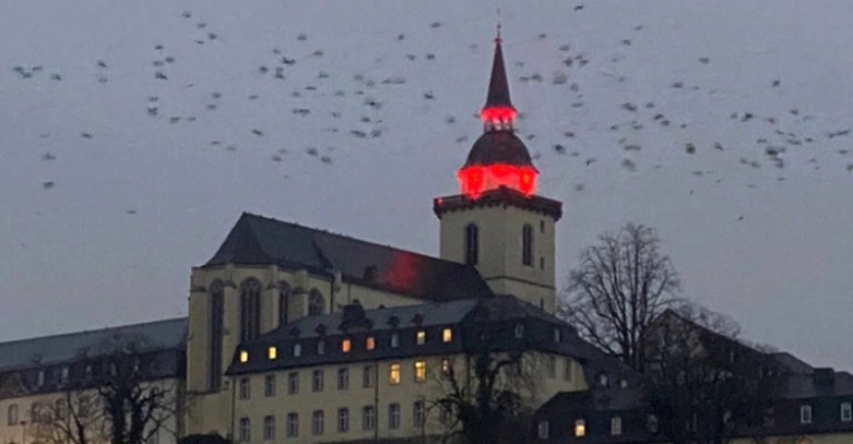 Die Abtei (c) Familie Pluta