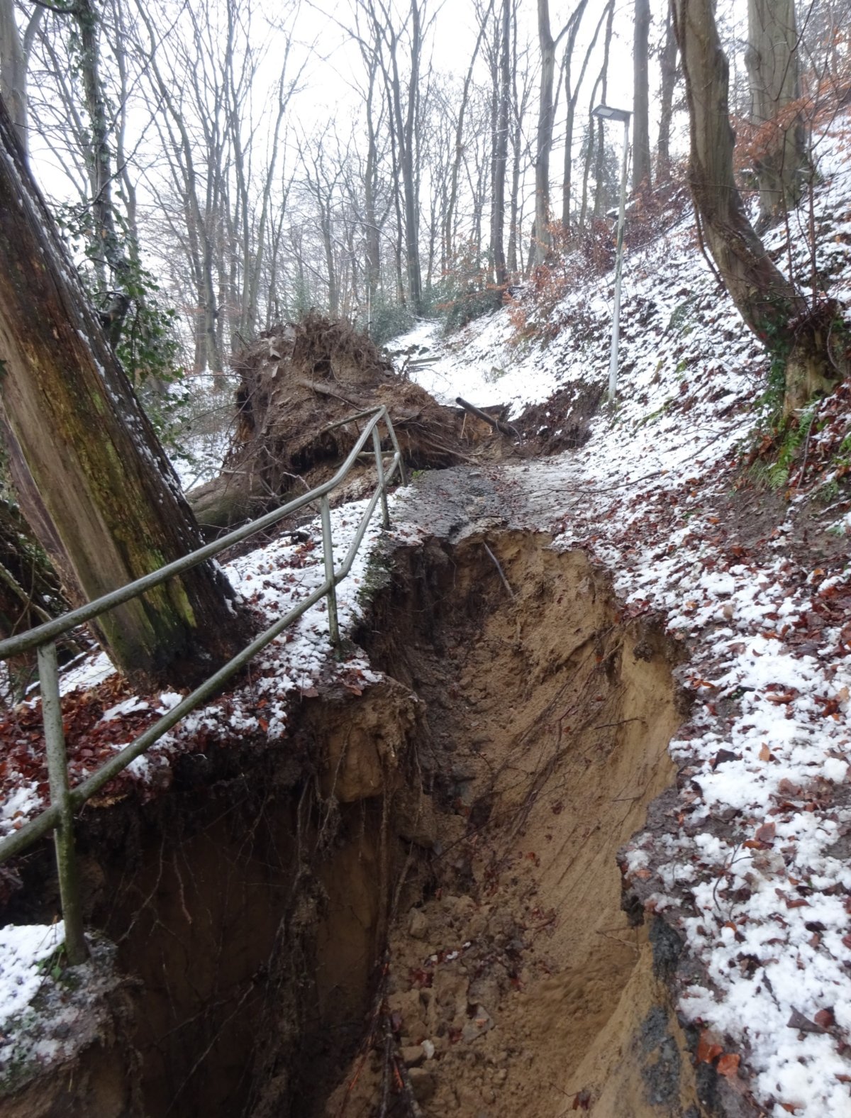 Seligenthal im Schnee3 (c) Dr. Andrea Korte-Böger