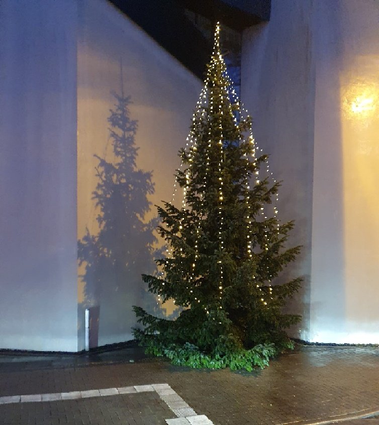 Tannenbaum Stallberg 2021 (c) Uta Köpp