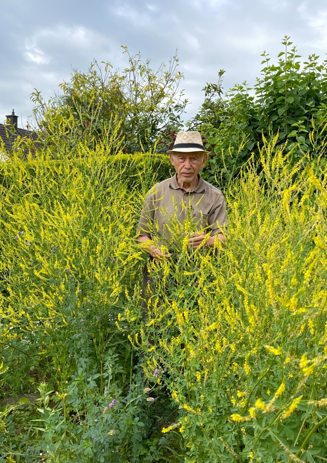 Bienenwiese im eigenen Garten (c) Ulrich Tondar