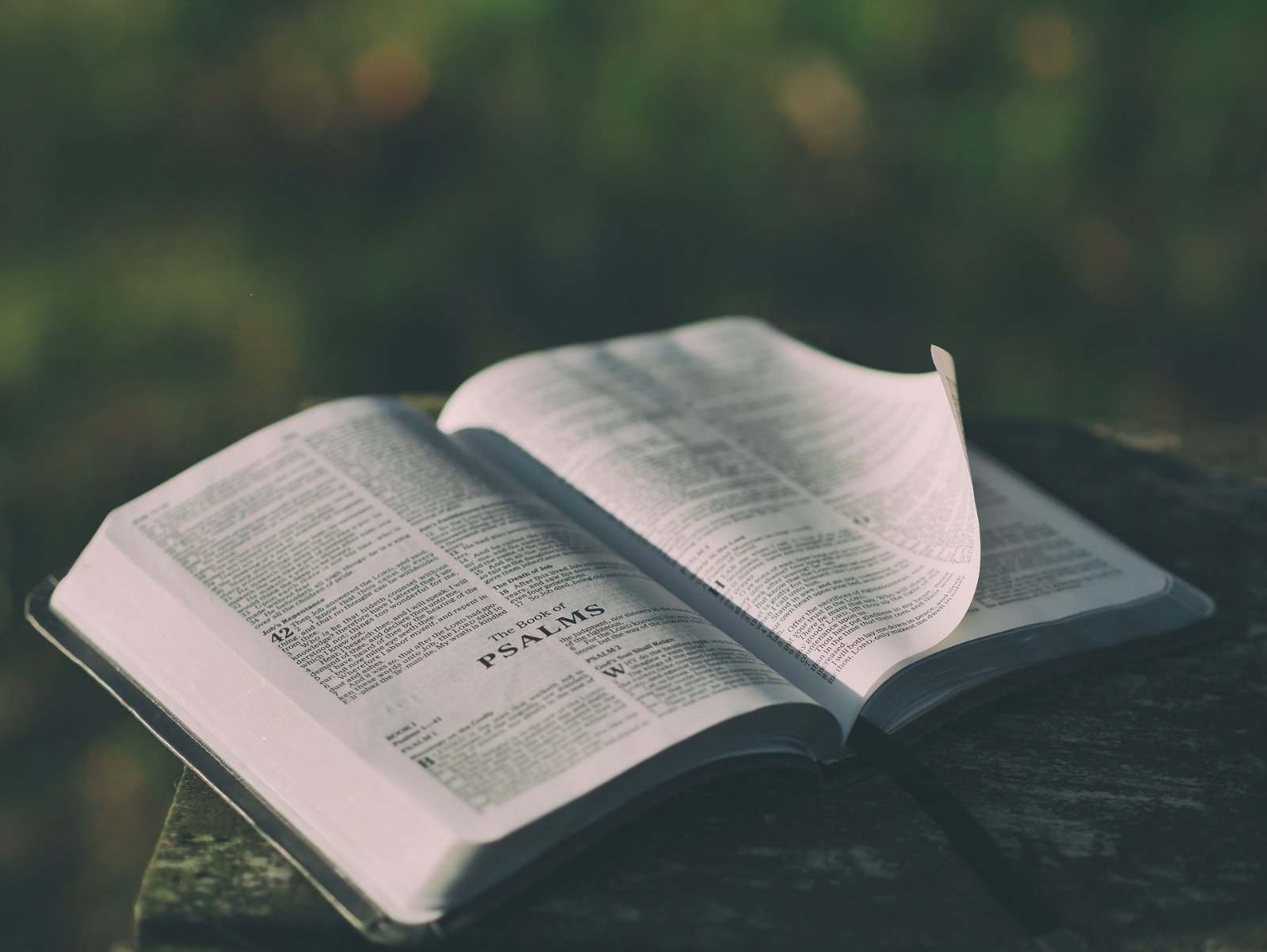 bible-1846174_1920 (c) pixabay