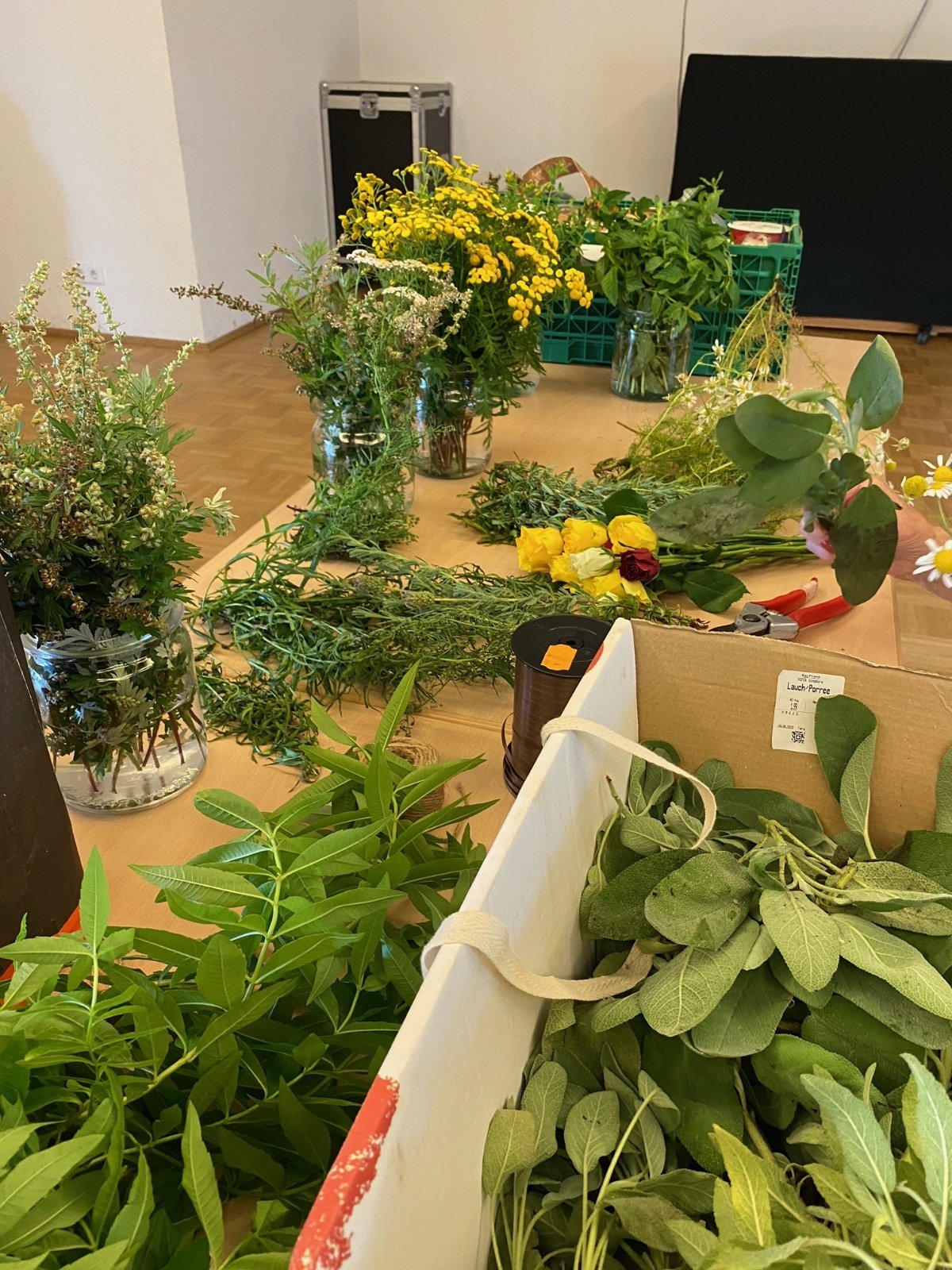 image597 (c) Marga Basche