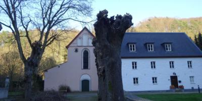 Kopfbäume.März 19 (3)