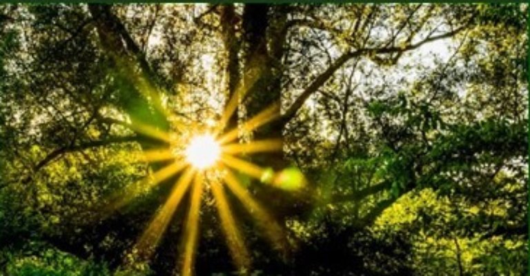 7. Aktion Deutsch Flyer S. 1 (c) Brigitte Glander