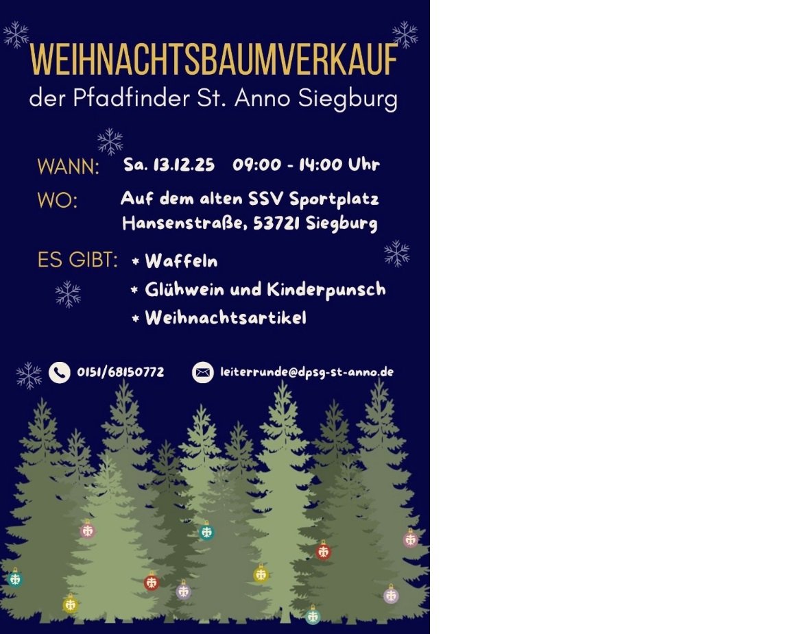 Sankt Anno Weihnachtsbaum