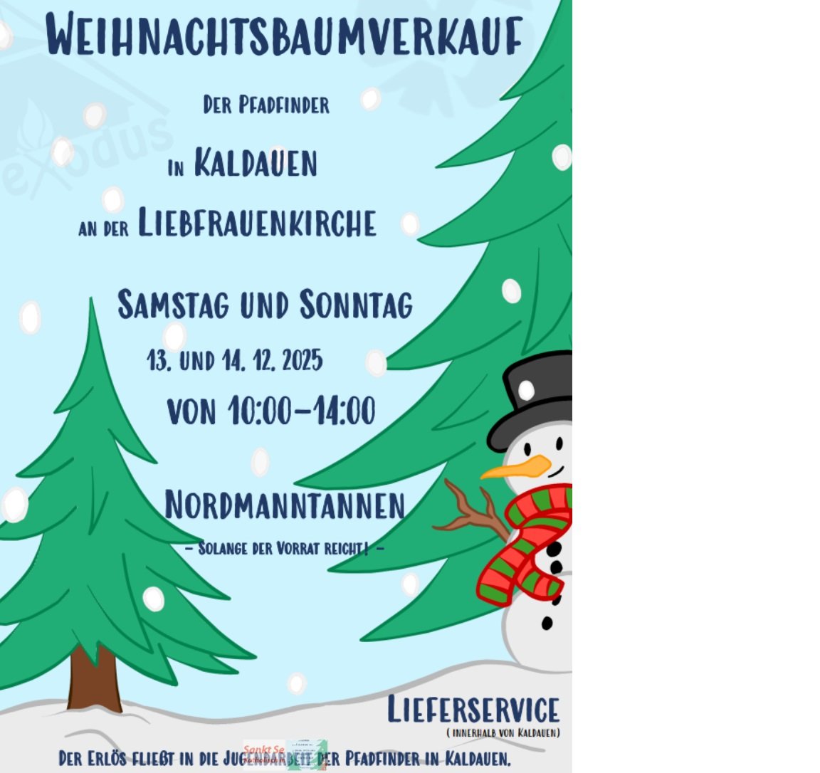 Weihnachtsbaum Kaldauen 2025