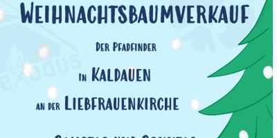 Weihnachtsbaum Kaldauen 2025