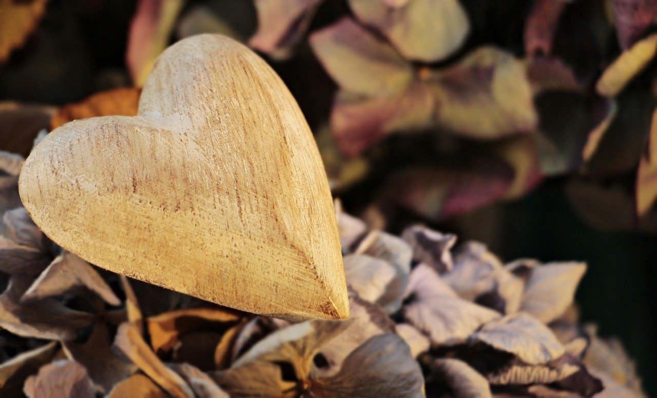 heart-2945403_1280 (c) pixabay