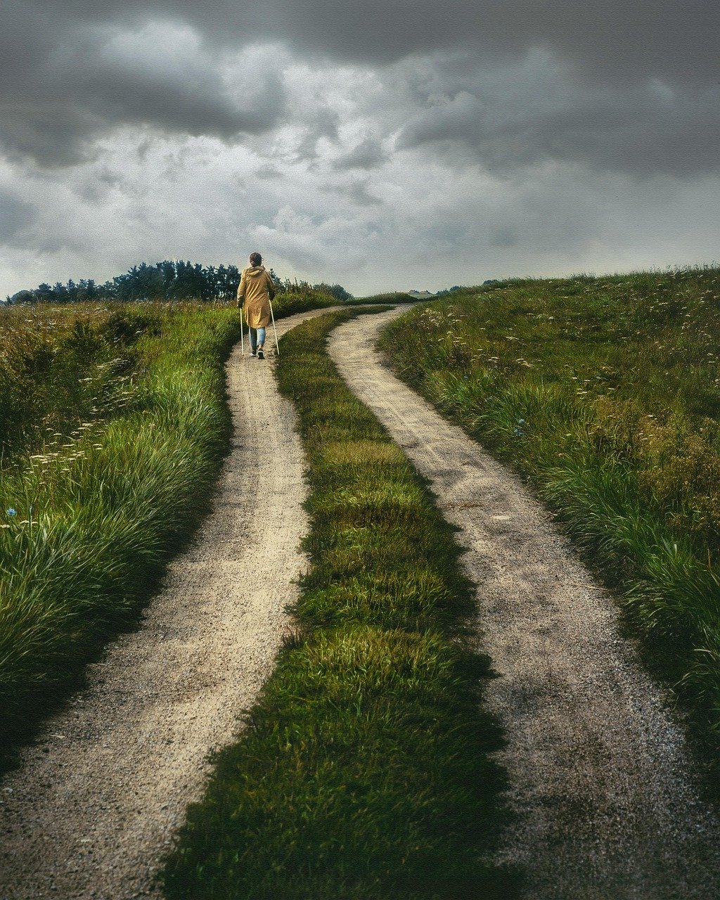 path-6567149_1280 (c) pixabay