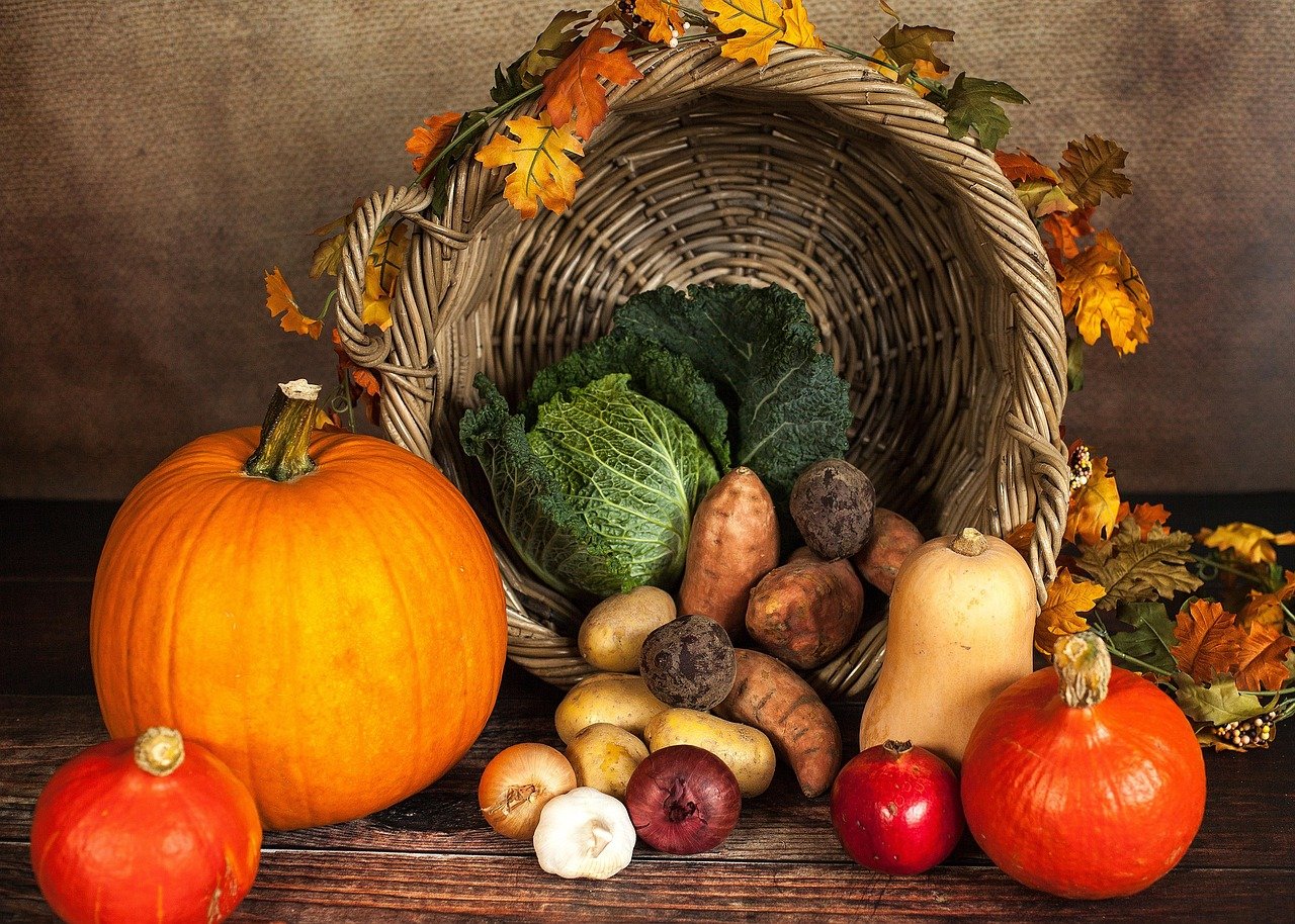 pumpkin-1768857_1280 (c) pixabay