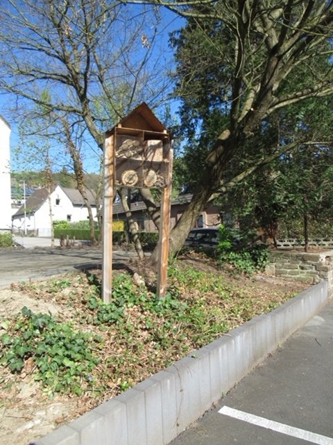 IMG_2434 (c) Anneliese Dippe-Bettmar