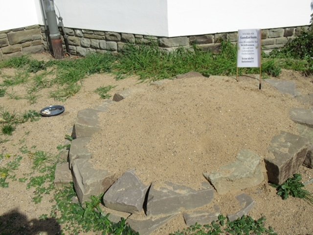 IMG_2445 (c) Anneliese Dippe-Bettmar