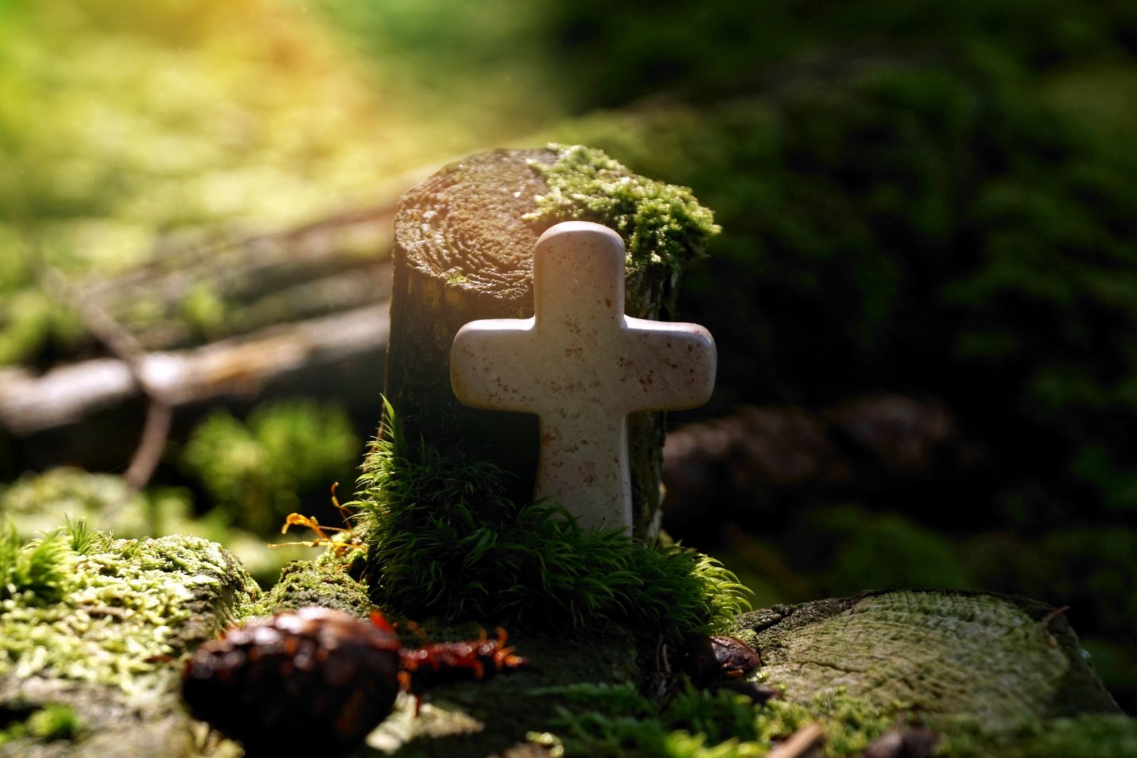 165106-cross-4565899 (c) pixabay