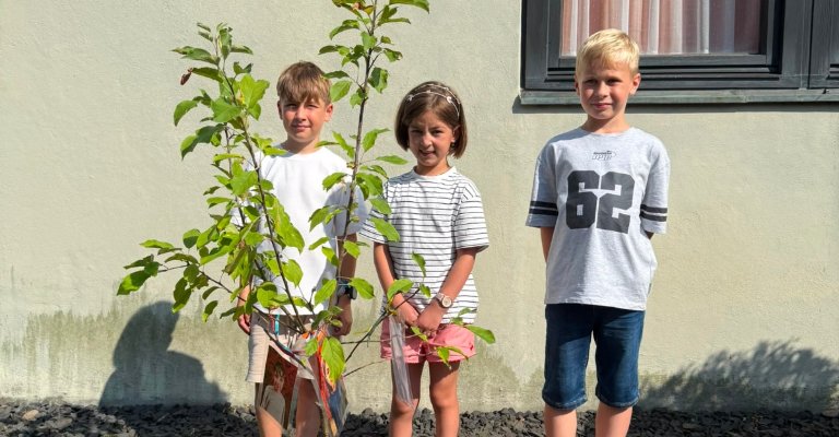 Apfelbaum Stallberg1 (c) Uta Köpp