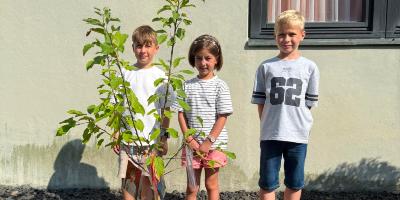 Apfelbaum Stallberg1