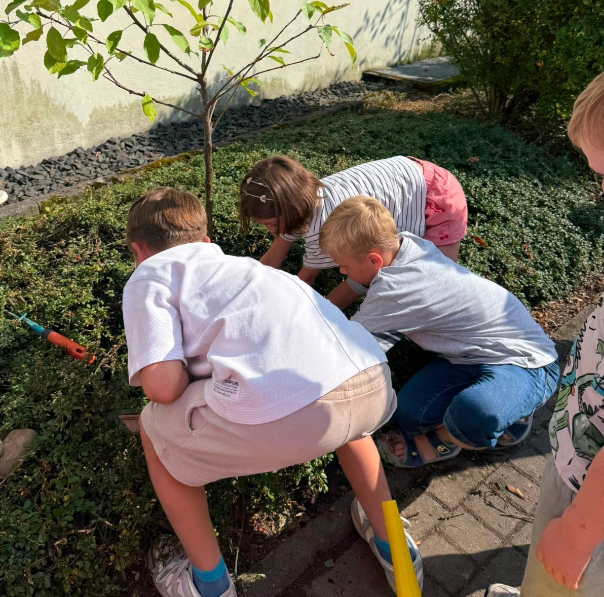 Apfelbaum Stallberg2 (c) Uta Köpp
