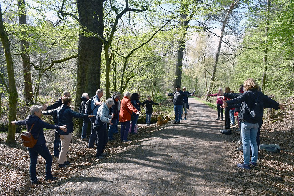 Bild 2_2. Station_Impuls im Lohmarer Wald (c) Ulrike Clever