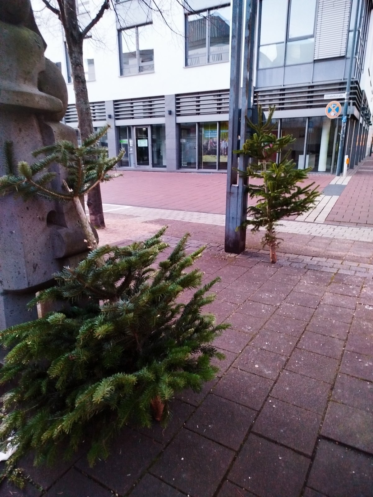 Ende der Weihnachtszeit_allgemein (c) Diana Recht