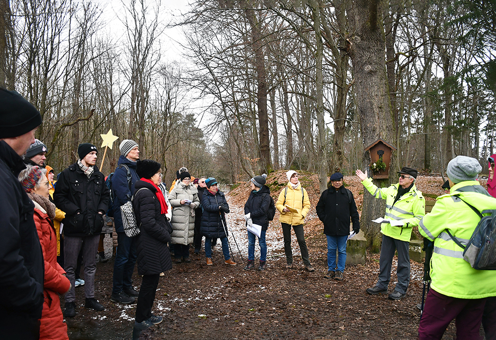 Foto4_Dreikönigsweg_Pilgernde Mitten im Lohmarer Wald (c) Ulrike Clever