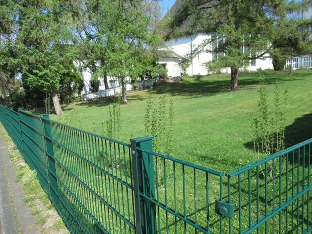 IMG_2439 (c) Anneliese Dippe-Bettmar