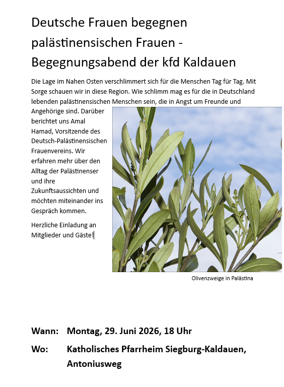 Palaestinensischer Abend (c) Birgit Bartmann