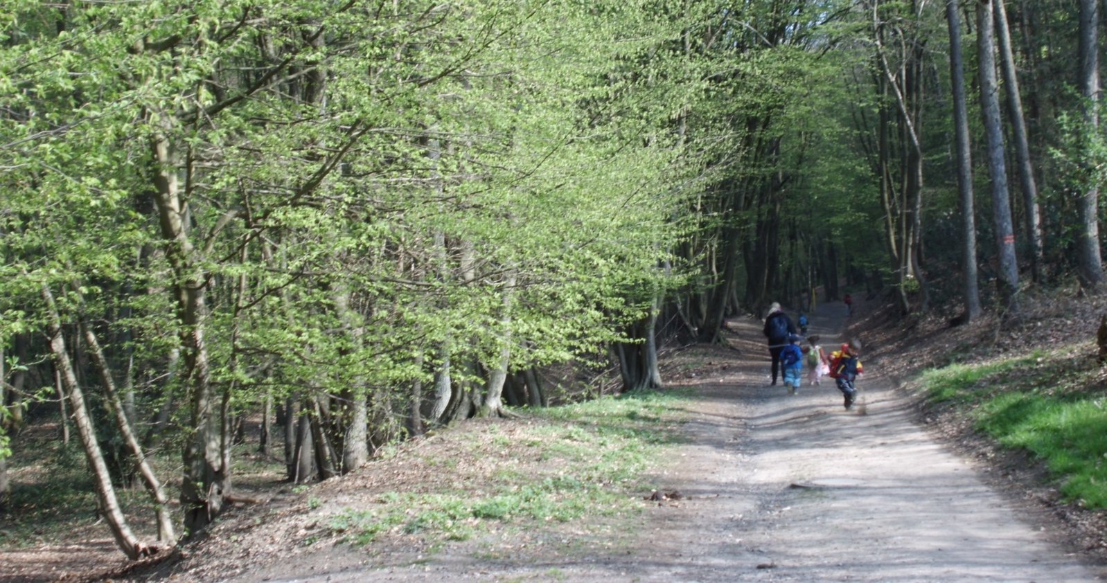 Waldweg_KiTaLiebfrauen (c) Luzia Kannengießer