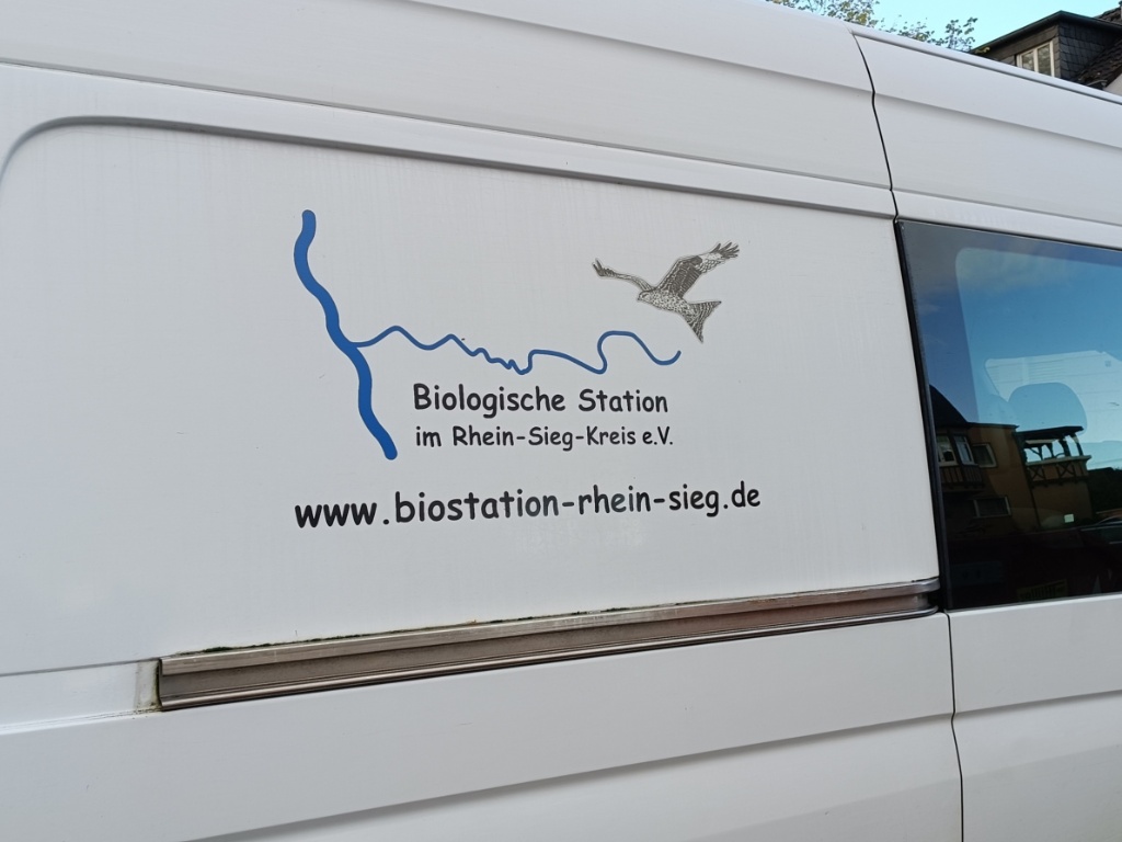 2023-10_1.Aktionstag_HedwigsGarten_BiologischeStation (c) Martina Sedlaczek