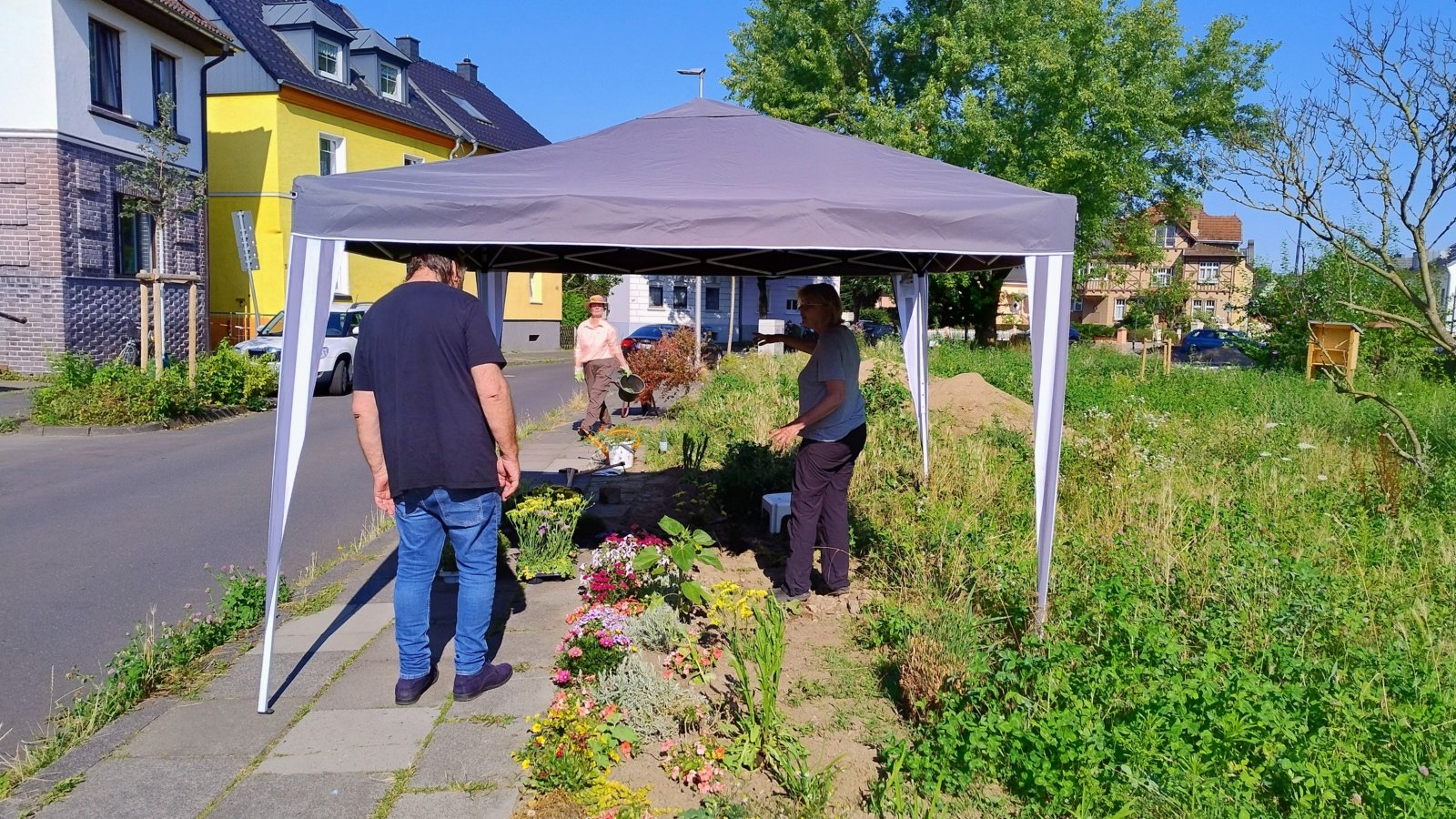 20240720_HedwigsGarten_Aktionstag1 (c) Martina Sedlaczek