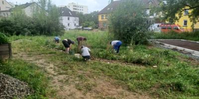 20240727_Aktionstag HedwigsGarten